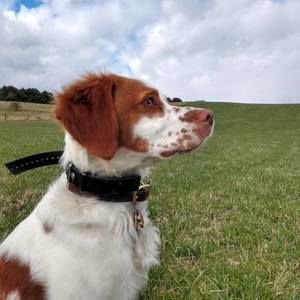 Meet your Posher, Jeff